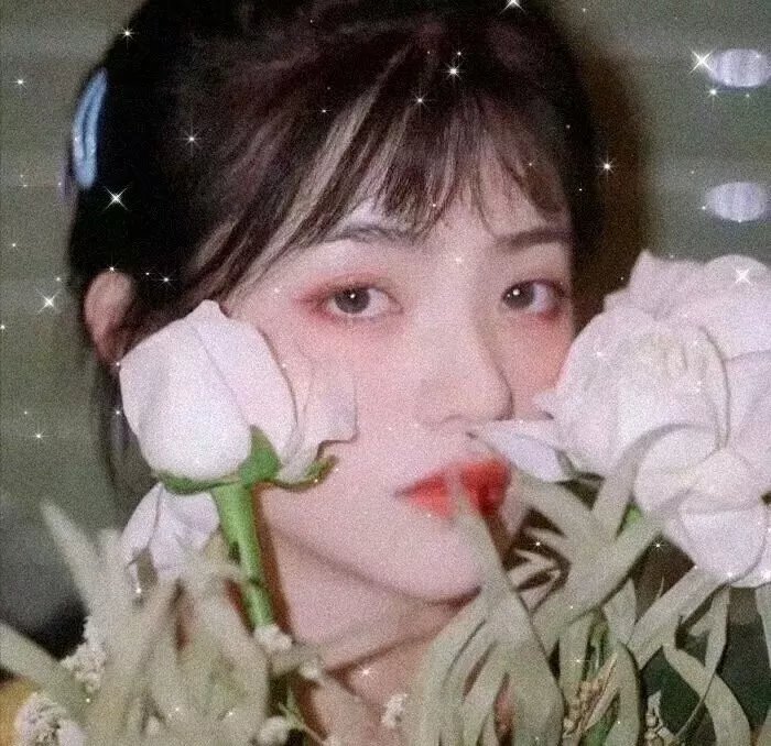 又见一帘幽梦